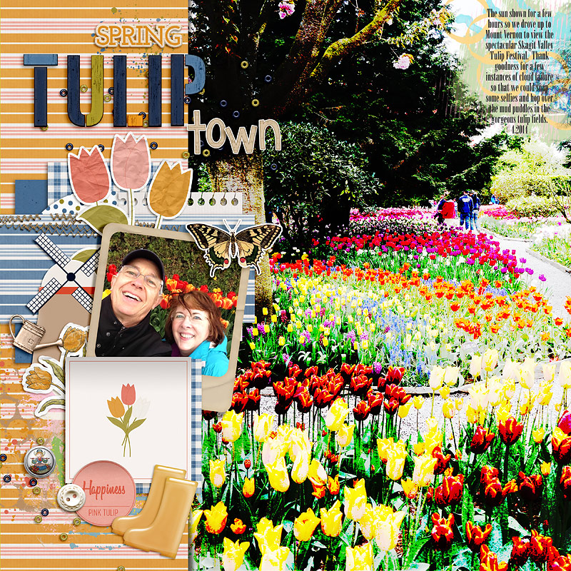 2014-Tulip-Town