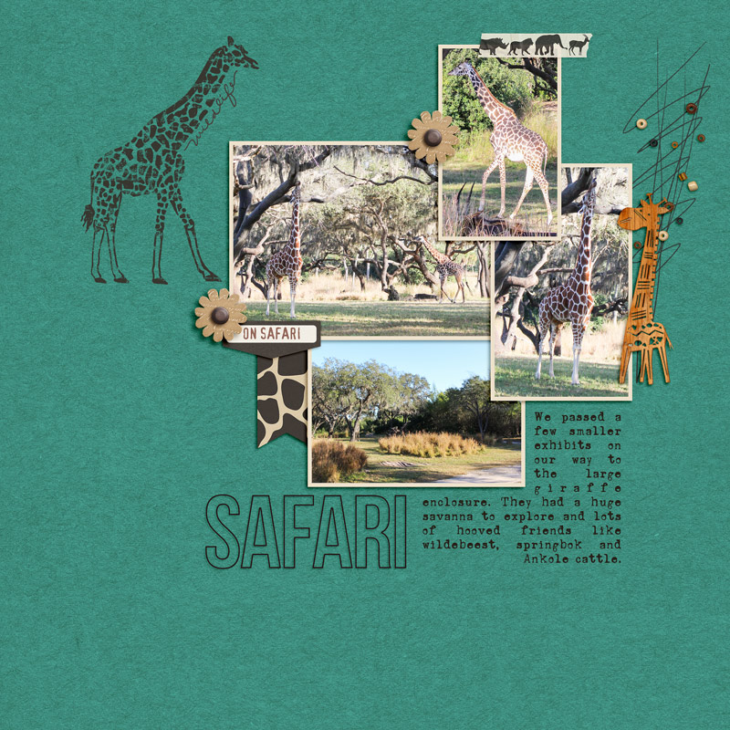20141201 Safari at Animal Kingdom