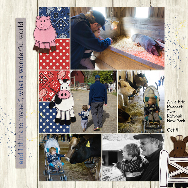 2015-10-4-carter-muscoot