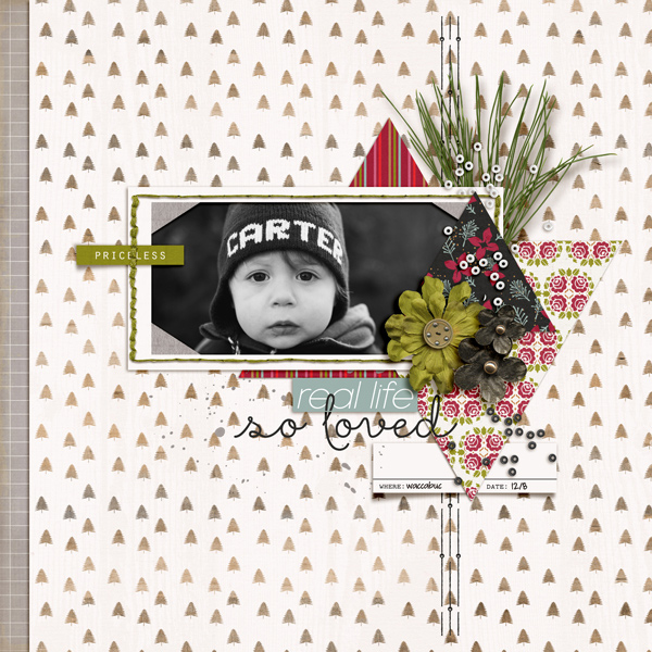 2015-12-8-carter-_600web