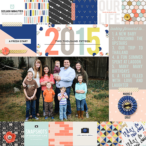 2015 Cover Page