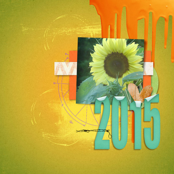 2015-cover
