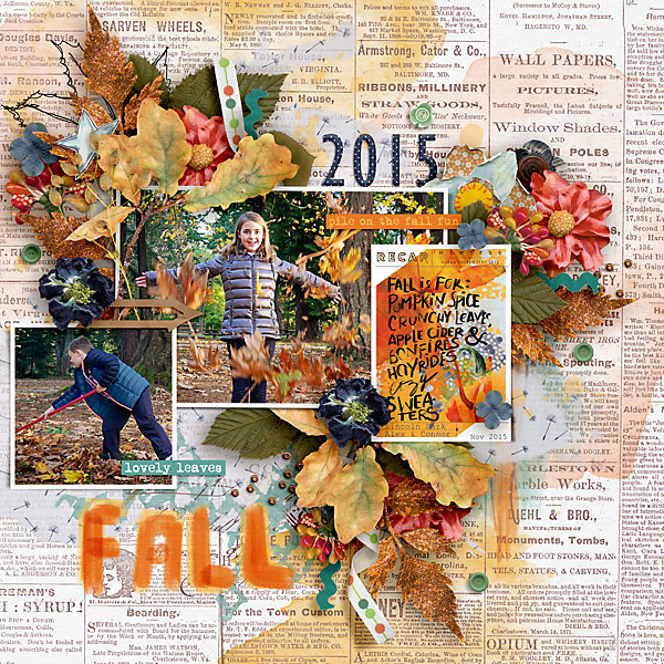 2015 Fall At Lincoln Park