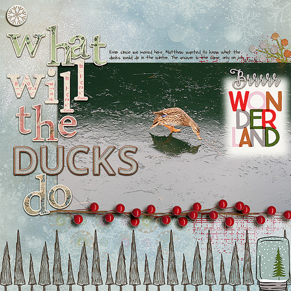2015 Frozen Duck
