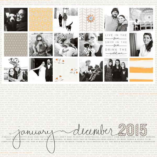 2015 In Review