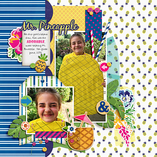 2015 Mr. Pineapple  Alex