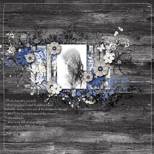 2015 photography project