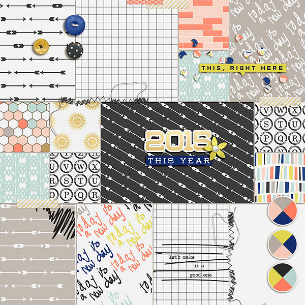 2015 PL cover