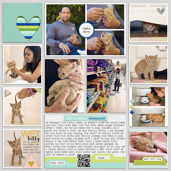 2015 Week 21- Kitty Insert right