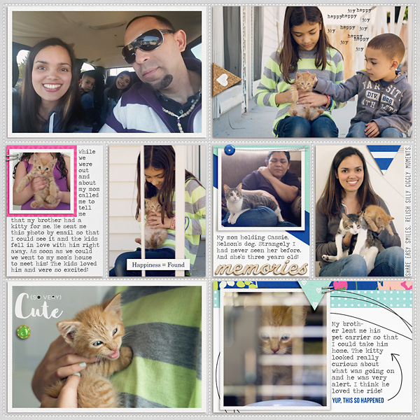 2015 Week 21- Ktty Insert left