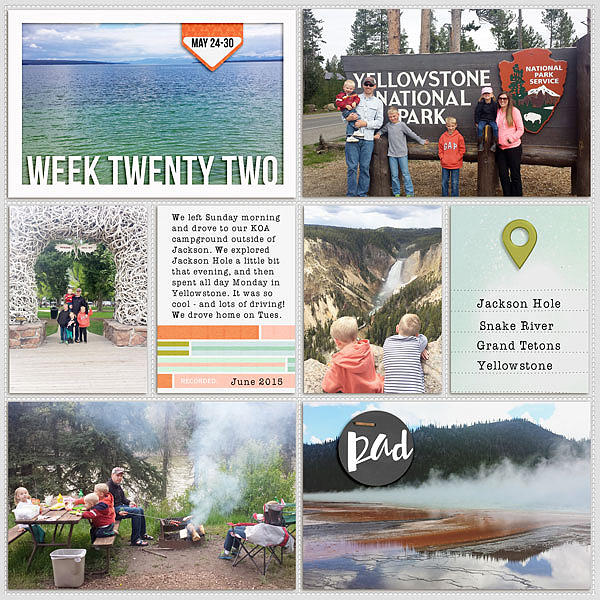 2015 week 22 - left side