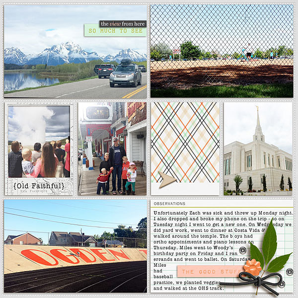 2015 week 22 - right side