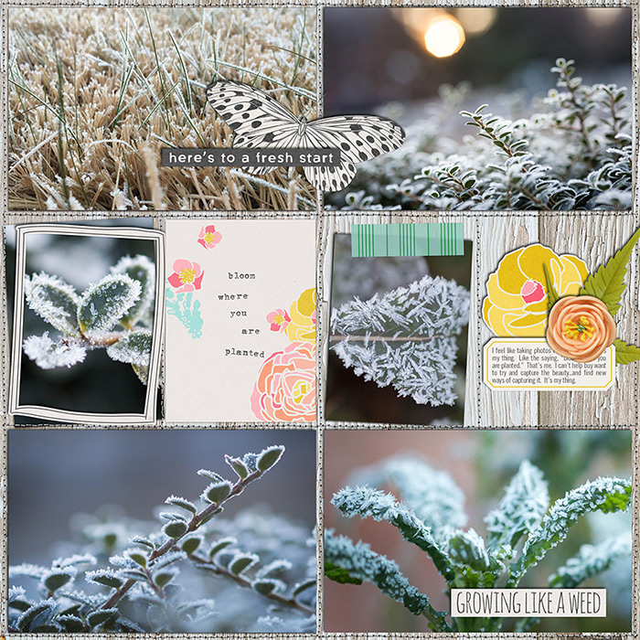 2015 Week 3 Extra (p2)
