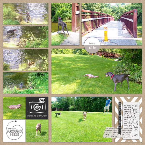 2015 WEEK 31: DOGS
