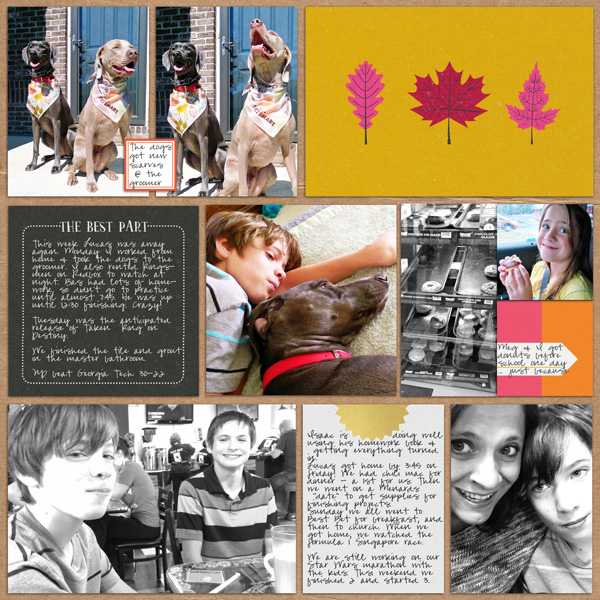 2015 week 38 right