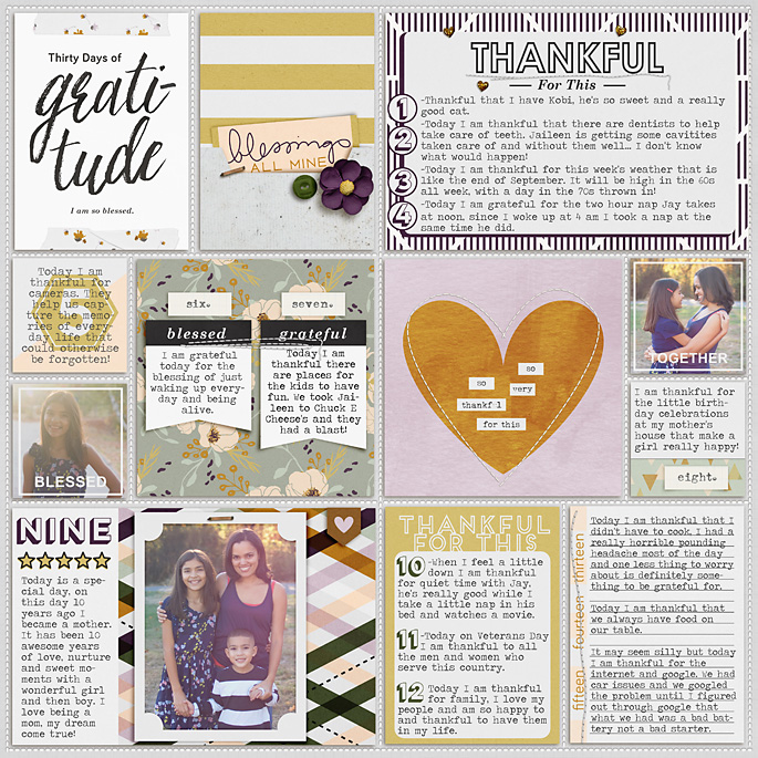 2015 Week 48: 30 days of Gratitude left
