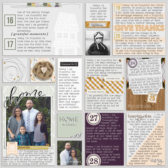 2015 Week 48: 30 days of Gratitude right
