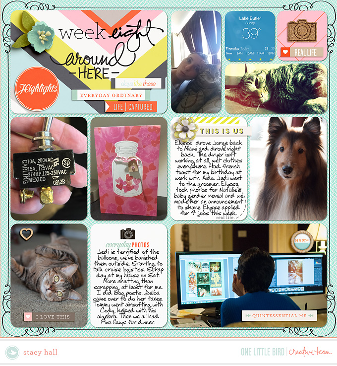 2015 Week 8