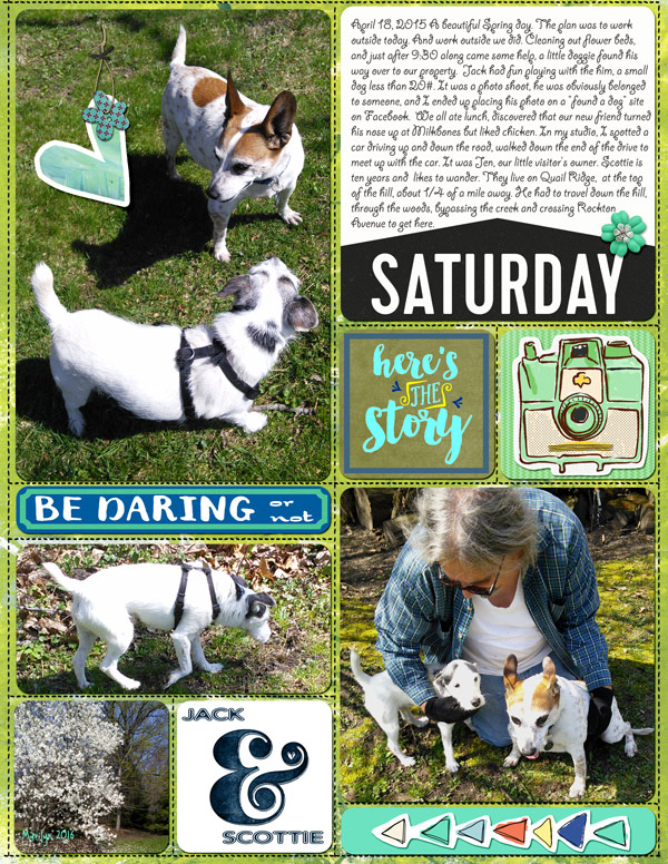2016-02_Feb-TLP-Selfie-Scrap_web