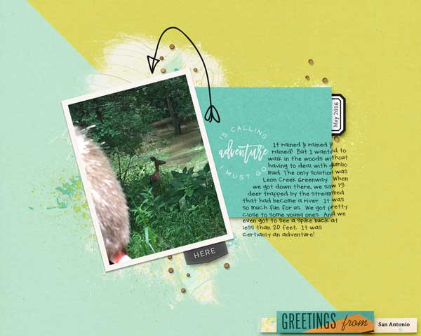 2016-05-k-deer