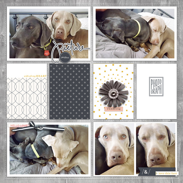 2016 10 Week 41 Puppies