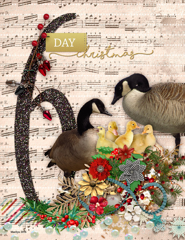 2016-12_December-TLP_AJ-Day06_web
