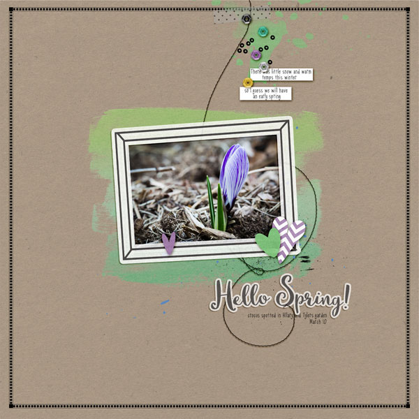 2016-3-10-crocus