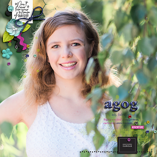 2016 Agog Ellen
