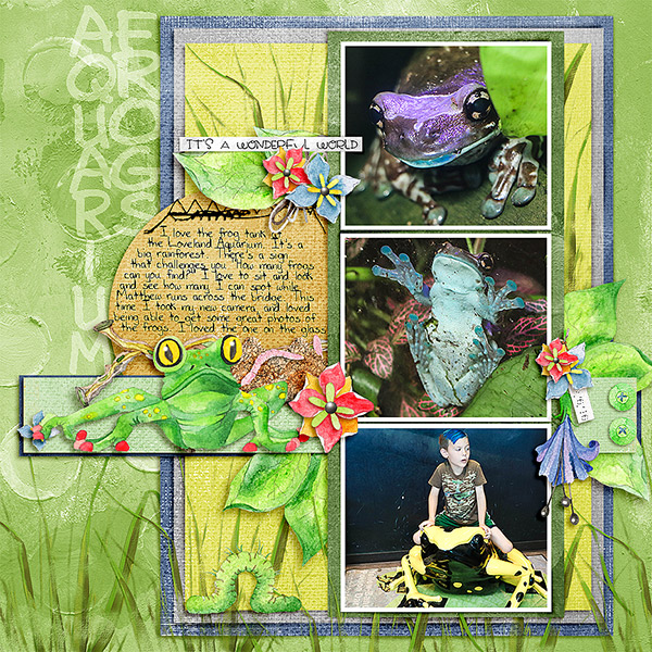 2016-Aquarium-Frogs