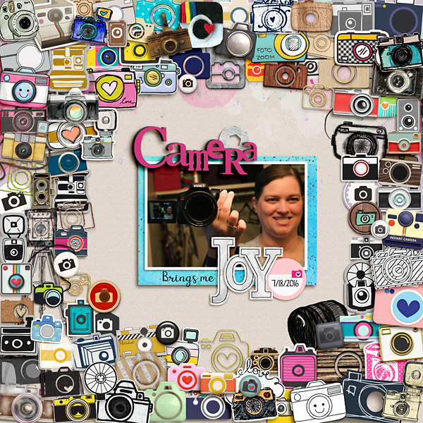 2016 Camera Joy