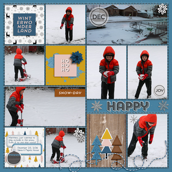 2016-Christmas-Snow-copy