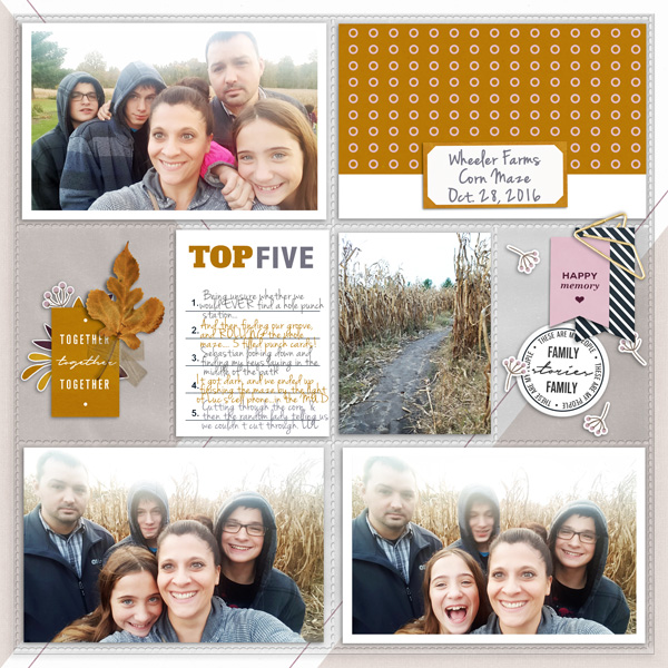 2016 Corn Maze