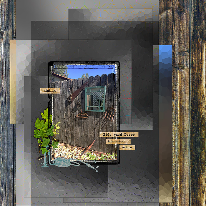 2016-Day-22-Side-Yard