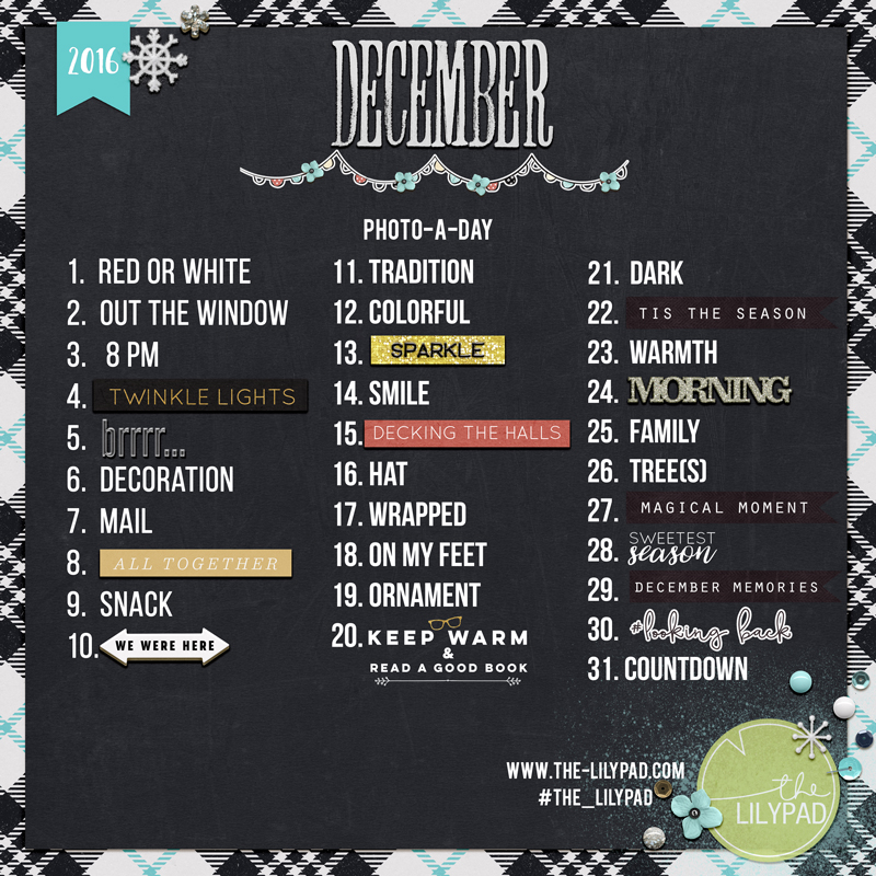 2016 December Photo-a-Day