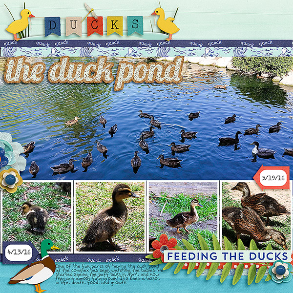 2016-Duck-Pond