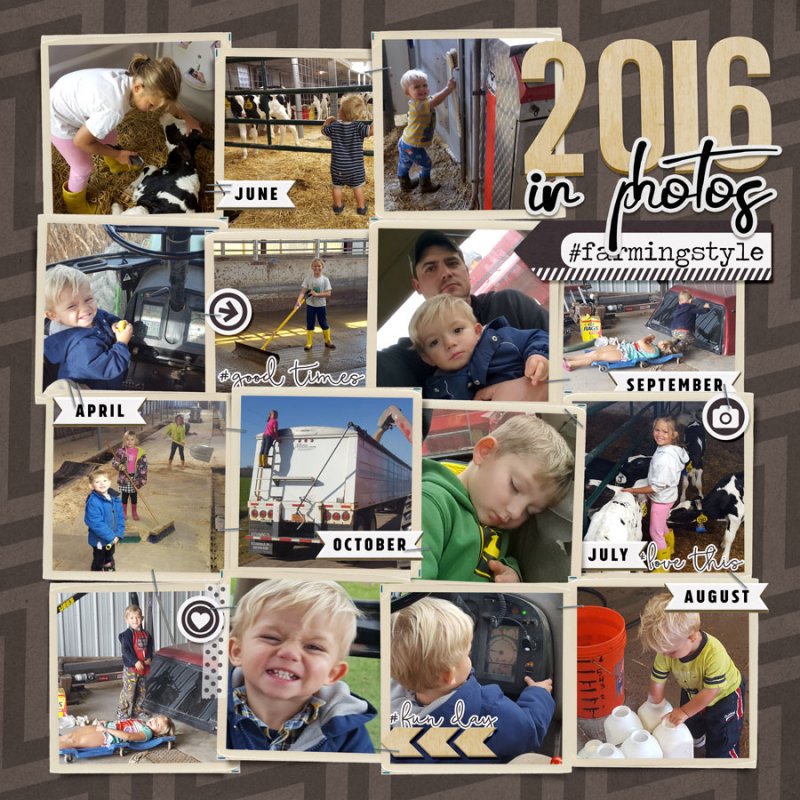 2016 Farming Style