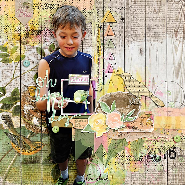 2016 Oh Happy Day Connor At Aviary