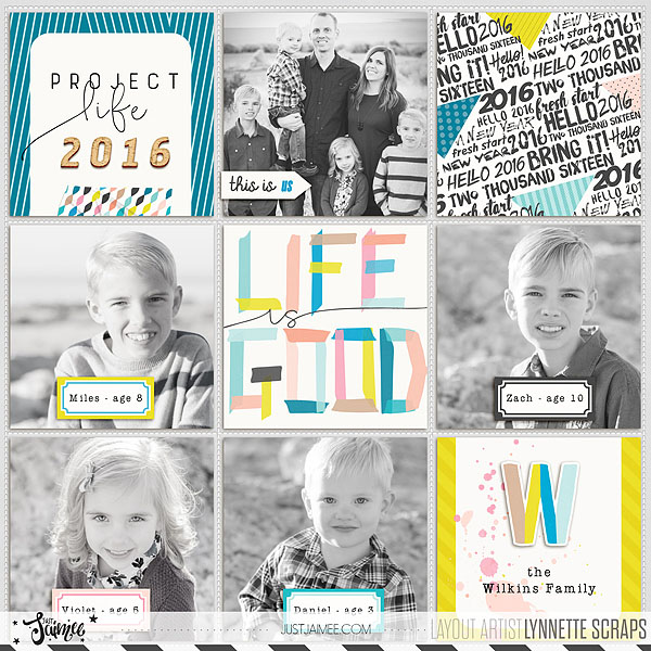 2016 project life cover