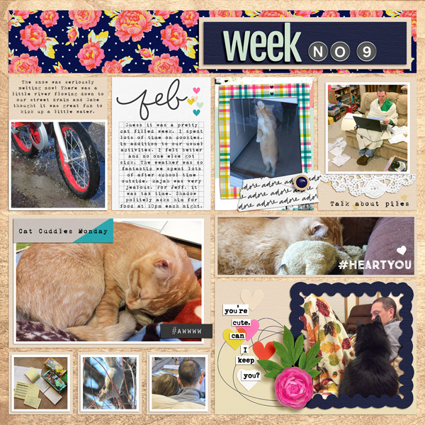 2016-week-09-jj-stluka-pktpgL