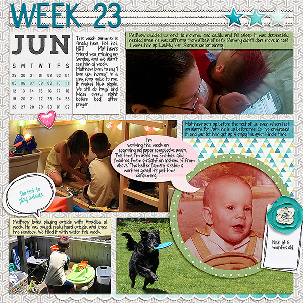 2016-Week-23-left