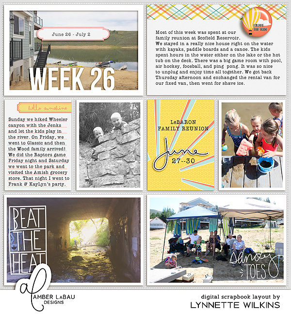 2016 week 26 - left side