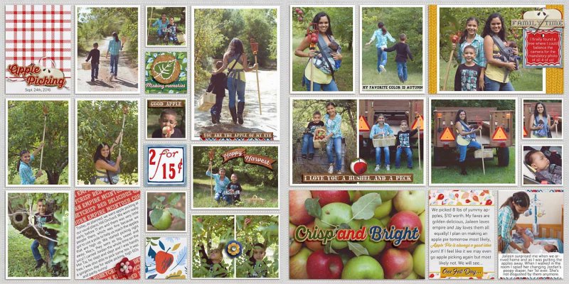 2016 Week 38-2 Apple Picking