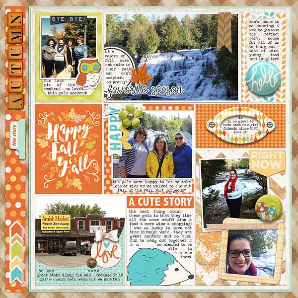 2016 Week 40X_Wi Web