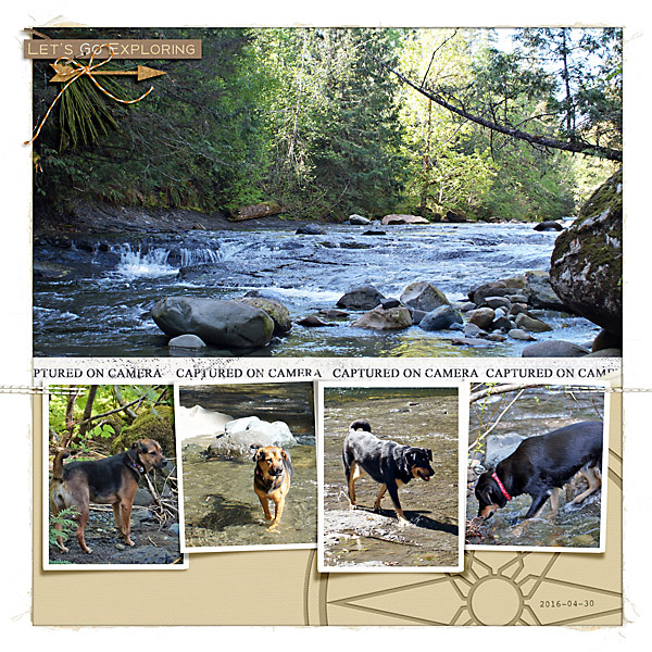 20160430_Trent River upper falls 2