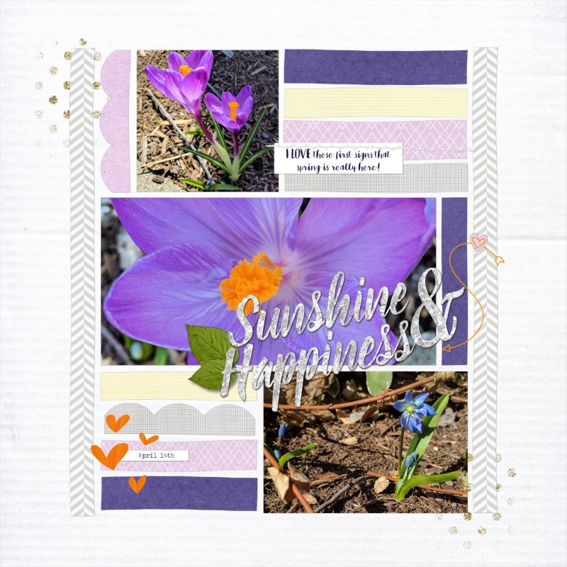 2017.04.14 Sunshine and Happiness