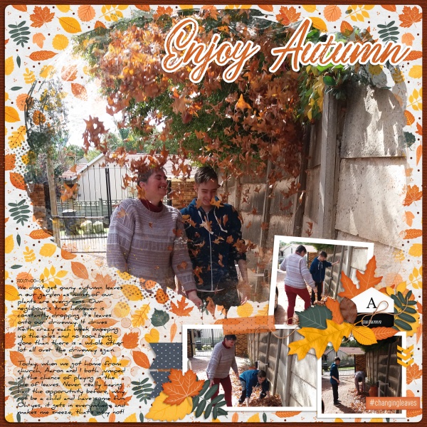 2017-05-14_EnjoyAutumn