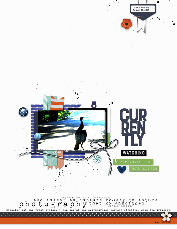 2017-08_August-TLP_Inspiration_web