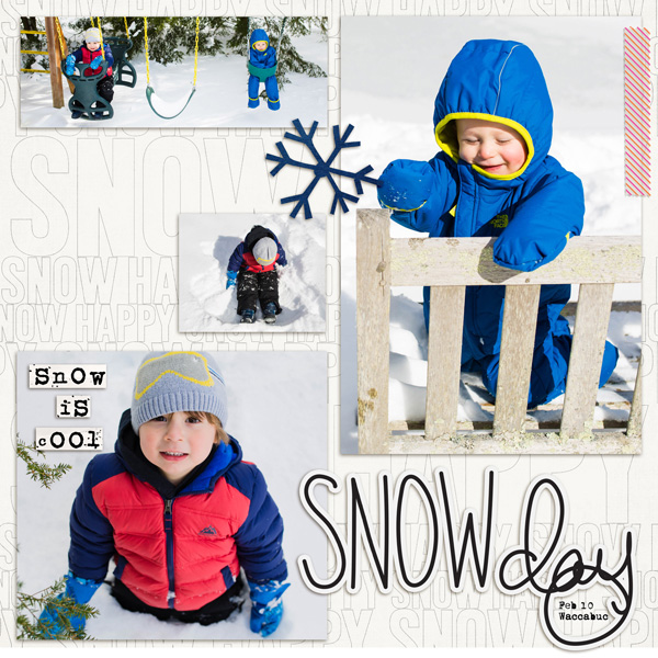 2017-2-10-carter-ash-snowday_600web