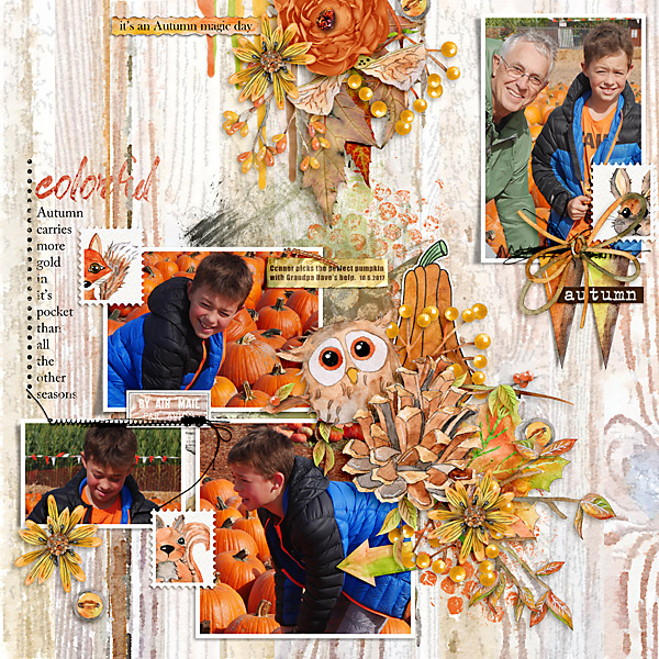 2017 Colorful Autumn Connor At The Pumpkin Patch