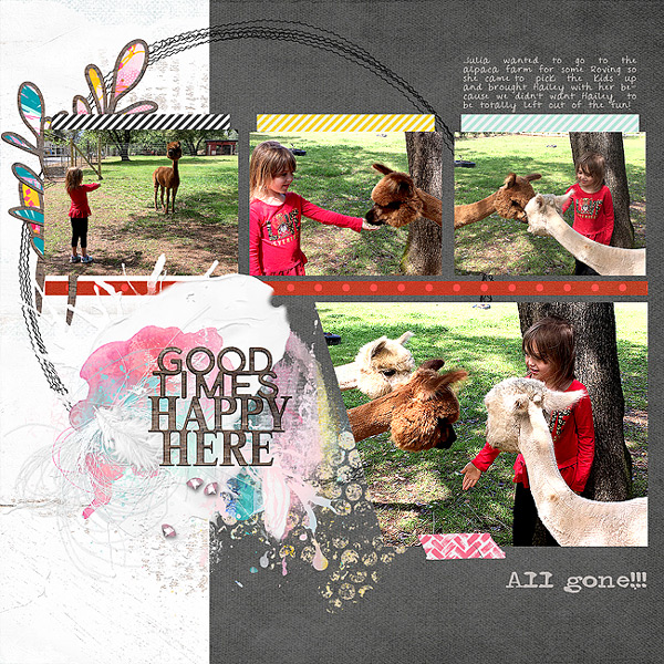2017-Kids-Visit-Alpaca-farm-p2